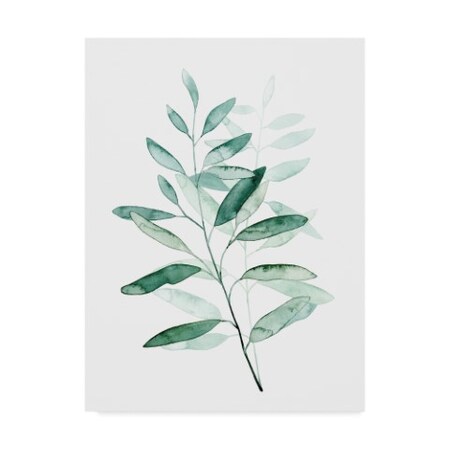 Trademark Fine Art Grace Popp 'Serene Reed I' Canvas Art, 35x47 WAG07132-C3547GG